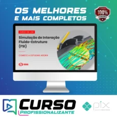 Curso de Simulação de Interação Fluído