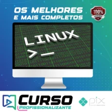 Primeiros Passos no Linux: Conceitos e Principais Comandos