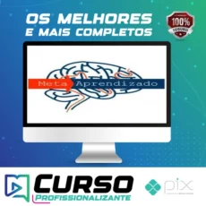 Meta Aprendizado Acelerado