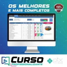 Planilha Controle de Estudos para Concursos Públicos Pro