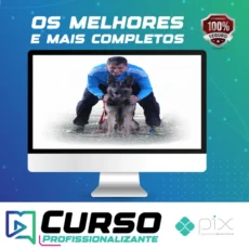 Entendendo o Aprendizado Canino O Guia Definitivo