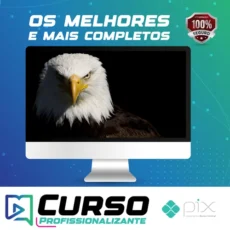 Mentoria  Águias Do Tiktok