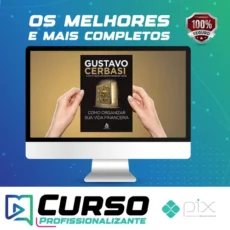 Como Organizar Sua Vida Financeira