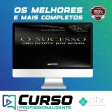 O Sucesso Não Ocorre Por Acaso