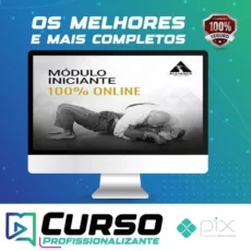 Metodologia Alliance de Ensino: Módulo Iniciantes