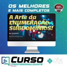 A Arte da Enumeração de Subdomínios