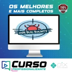 Introdução ao Bug bounty
