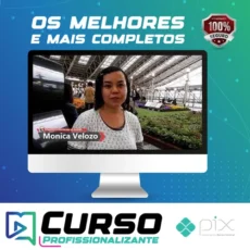 Japonês Básico: Escreva em Japonês