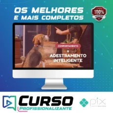 Adestramento Inteligente