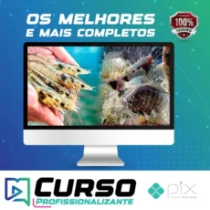 Criação de Camarão Marinho e Tilápias em Bioflocos: Longe do Mar em Tanques de Geomembrana e Ferrocimento