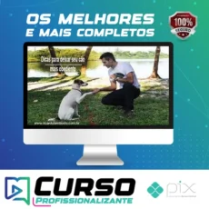 Desafio Cão Obediente