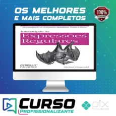 Introdução Às Expressões Regulares