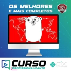 Web Development With Go Programming Language