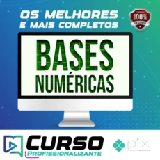 Bases Numéricas