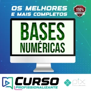Bases Numéricas