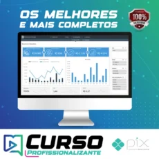 Relatórios para Tráfego Pago e Gestão